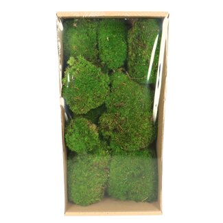 4A Mousse préservée | Couleur : Vert | Dimension 7 - 15 centimètres | Par boîte