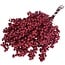 Schinus rouge avec paillettes - Baies de poivre décoration séchée | Longueur ± 35 centimètres | Poids ± 150 grammes