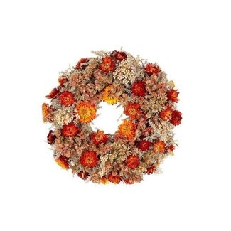 HBXD Kranz „Orange County“ | Farbe: Orange | Weihnachtsdekoration | Durchmesser 30 Zentimeter | Pro Kranz