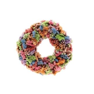 HBXD Krans “Statice Pastel” | Kleur: Gemengde Kleuren | Kerstdecoratie | Hoogte 7 centimeter | Diameter 30 centimeter | Per krans