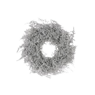 HBXD Couronne « Asparagus pailleté » | Couleur : argent | Décoration de Noël | Diamètre 30 centimètres | Par couronne