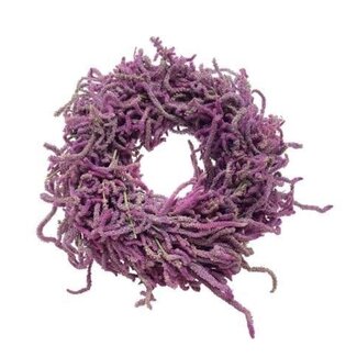 HBXD Krans “Snake Limonium” | Kleur: Lila Paars | Kerstdecoratie | Hoogte 8 centimeter | Diameter 40 centimeter | Per krans