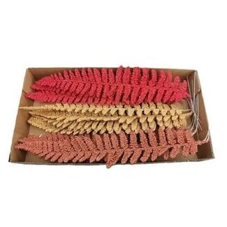 HBXD Decoratieve Varen Takken “Fern Leaf” | Kleur: Gemengde Kleuren | Lengte ± 34 centimeter | Per 15 takken