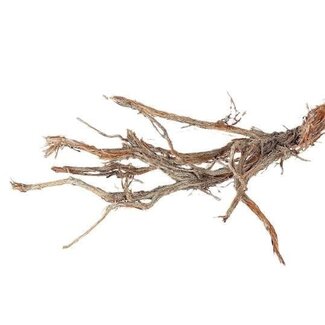 HBXD Dekorativer Zweig „Ghostwood“ | Farbe: Braun | Trockendekoration | Länge  180 Zentimeter | Pro Zweig