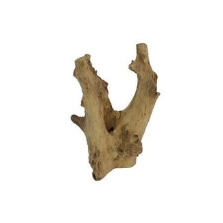 HBXD Branche décorative « Teak Membatu » | Couleur : Marron | Décoration séchée | Hauteur 60 centimètres | Diamètre 30 centimètres | À la branche