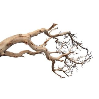 HBXD Decorative Branch “Manzanita” | Colour: Brown | Dried Decoration | Length  120 centimetres | Per branch