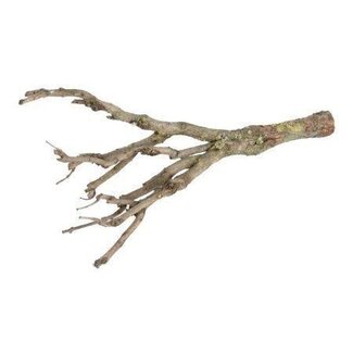 HBXD Decorative Branch “Lilac” | Colour: Brown | Dried decoration | Length 100 centimetres | Per branch