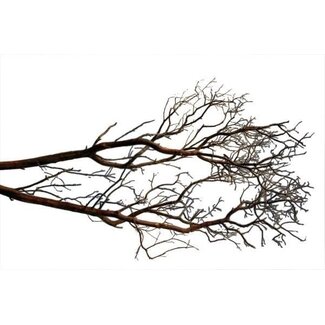 HBXD Decoratieve Tak “Manzanita” | Kleur: Bruin | Droogdecoratie | Lengte  90 centimeter | Per tak