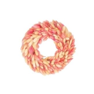 HBXD Couronne « Lagurus » | Couleur : Couleurs variées | Décoration de Noël | Diamètre 30 centimètres | Par couronne