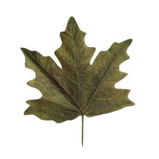 HBXD Decorative Leaves “Maple Leaf Calvi” | Colour: Green | Autumn decoration | Length 56 centimetres | Width 59 centimetres | Per 4 leaves