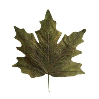 HBXD Decorative Leaves “Maple Leaf Calvi” | Colour: Orange | Autumn decoration | Length 73 centimetres | Width 78 centimetres | Per 4 leaves