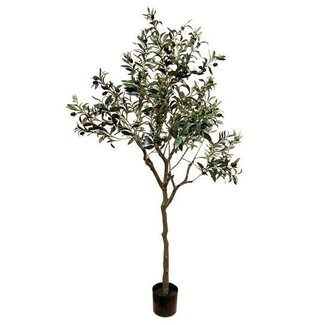 HBXD Olive tree | Colour: Green | Home decoration | Height 165 centimetres | Per 2 trees
