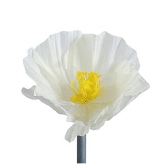 HBXD Artificial Poppies “Poppy Flower” | Colour: Natural White | Height 35 centimetres | Diameter 30 centimetres | Per 4 stems