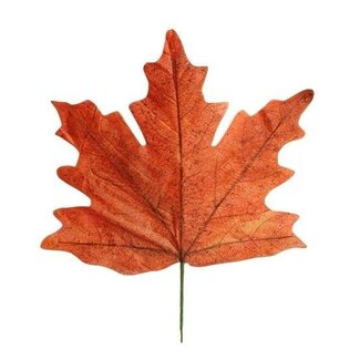HBXD Decorative Leaves “Maple Leaf Calvi” | Colour: Orange | Autumn decoration | Length 56 centimetres | Width 59 centimetres | Per 4 leaves