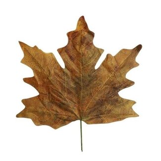 HBXD Decorative Leaves “Maple Leaf Calvi” | Colour: Green | Autumn decoration | Length 73 centimetres | Width 78 centimetres | Per 4 leaves