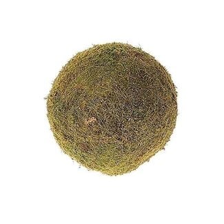 HBXD Flache Mooskugel | Farbe: Braun-Grün | Durchmesser 30 Zentimeter | Pro Mooskugel