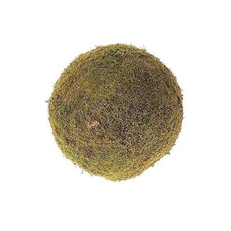 HBXD Flat Moss Ball | Colour: Brown Green | Diameter 30 centimetres | Per moss ball