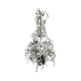 HBXD Decorative tree “Weeping Pine Snow” | Colour: Green White | Height 90 centimetres | Diameter 40 centimetres | Per tree