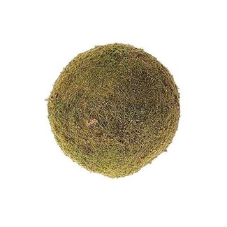 HBXD Ball Flat Moss D20