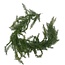 Cedar garland “Cedar” | Colour: Green | Length 205 centimetres | Per garland