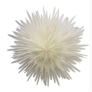 HBXD Blumenampel „Foldy“ | Farbe: Naturweiß | Wohnaccessoire | Höhe 60 Zentimeter | Durchmesser 60 Zentimeter | Pro Hänger