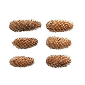 HBXD Pine cone “Spruce” | Colour: Brown | Christmas decoration | Weight 5 kilos | Per bag