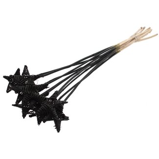 QC Rattan Lata Star on a stick | Colour: Black | Flat pick | Length ± 50 centimetres | Per 10 picks