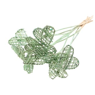 QC Rattan Lata Hart on stok | Colour: Frosted Mint green | Flat plant stake | Length ± 50 centimetre | Per 10 plant stakes