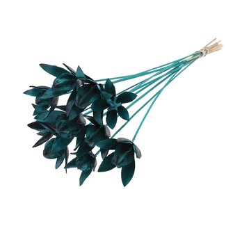 QC Wild Lily seed pod on stem | Colour: Turquoise | Length stem pick ± 50 centimeter | Per 10 stem picks