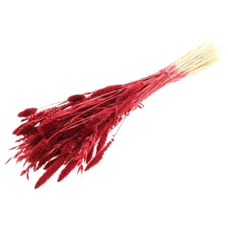 QC Strauß Gebleichte Getrocknete Blumenmix | Farbe: Rot | Länge ± 60 centimeter | Pro Bund