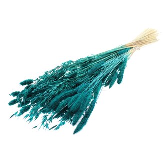 QC Strauß Gebleichte Getrocknete Blumenmix | Farbe: Türkis | Länge ± 60 centimeter | Pro Bund