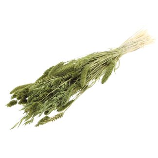 QC Strauß Gebleichte Getrocknete Blumenmischung | Farbe: Olivgrün | Länge ± 60 centimeter | Pro Bund