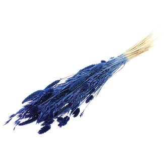 QC Strauß Gebleichte getrocknete Blumenmix | Farbe: Blau | Länge ± 60 centimeter | Pro Bund