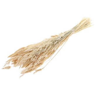 QC Strauß Gebleichte Getrocknete Blumenmix | Farbe: Weiß | Länge ± 60 centimeter | Pro Bund
