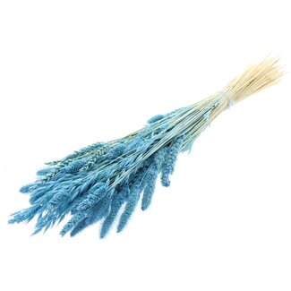 QC Strauß Gebleichte getrocknete Blumenmix | Farbe: Hellblau | Länge ± 60 centimeter | Pro Bund