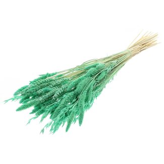 QC Strauß Gebleichte Getrocknete Blumenmix | Farbe: Mintgrün | Länge ± 60 centimeter | Pro Bund
