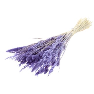 QC Strauß Gebleichter Getrockneter Blumenmix | Farbe: Milchviolett | Länge ± 60 Zentimeter | Pro Bund