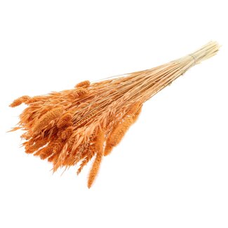 QC Strauß Gebleichte getrocknete Blumenmischung | Farbe: Lachsfarben | Länge ± 60 centimeter | Pro Bund