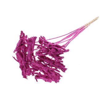 QC Decorative Coco Rose Posy on posy stake | Colour: Cherry-coloured | Coco Rose Posy Stake | Length posy stake ± 50 centimetres | 10 posy stakes per bunch
