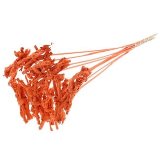 QC Decorative Coco Rose Posy on stick | Colour: Orange | Coco Rose Posy Stake | Length stake ± 50 centimeter | 10 stakes per bunch
