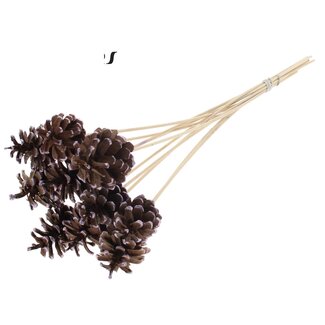 QC Pinecone on stick | Colour: Brown with Metallic Pink Pointed | Diameter 5 - 7 centimetre | Length ± 50 centimetre | 10 picks per bunch