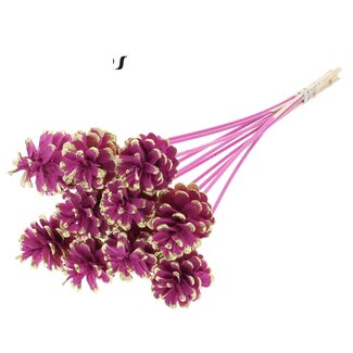 QC Pinecone on stick | Colour: Cherry-coloured and Gold-coloured Pointed | Diameter 5 - 7 centimeter | Length ± 50 centimeter | 10 picks per bunch