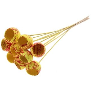 QC Dried Bellgums | Colour: Speckled Yellow Red | Bell Cup Floral Pick | Length ± 50 centimetre | 10 floral picks per bunch | Per bunch