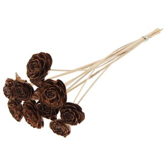 QC Cedar Rose on stem | Colour: Natural | Pinecone pick | Length ± 50 centimetre | 10 picks per bunch