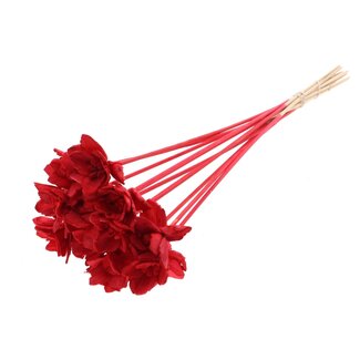 QC Shola Queen Blume am Stiel | Farbe: Rot | Shola Queen Blume | Länge ± 50 centimeter | 10 Beistecker pro Bund