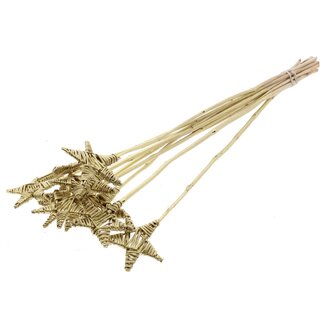 QC Rattan Lata Star on stake | Colour: Gold-coloured | Flat pick | Length ± 50 centimeter | 10 picks per bunch