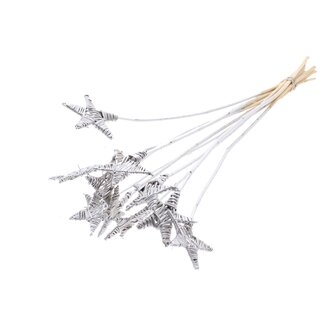 QC Rattan Lata Star on stem | Colour: Silver-coloured | Flat pick | Length ± 50 centimetre | 10 picks per bunch