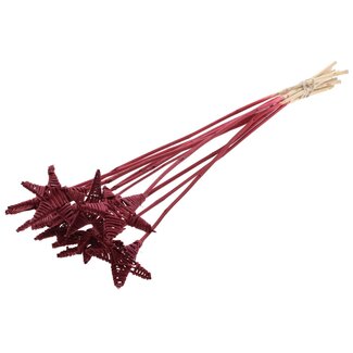 QC Rattan Lata Star on stem | Colour: Bordeaux red | Flat stem pick | Length ± 50 centimeter | 10 stem picks per bunch