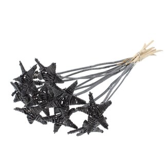 QC Rattan Lata Star on stick | Colour: Metallic Graphite | Flat stake | Length ± 50 centimetre | 10 stakes per bunch