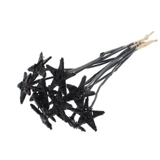 QC Rattan Lata Star on stick | Colour: Black | Flat stake | Length ± 50 centimetre | 10 stakes per bunch